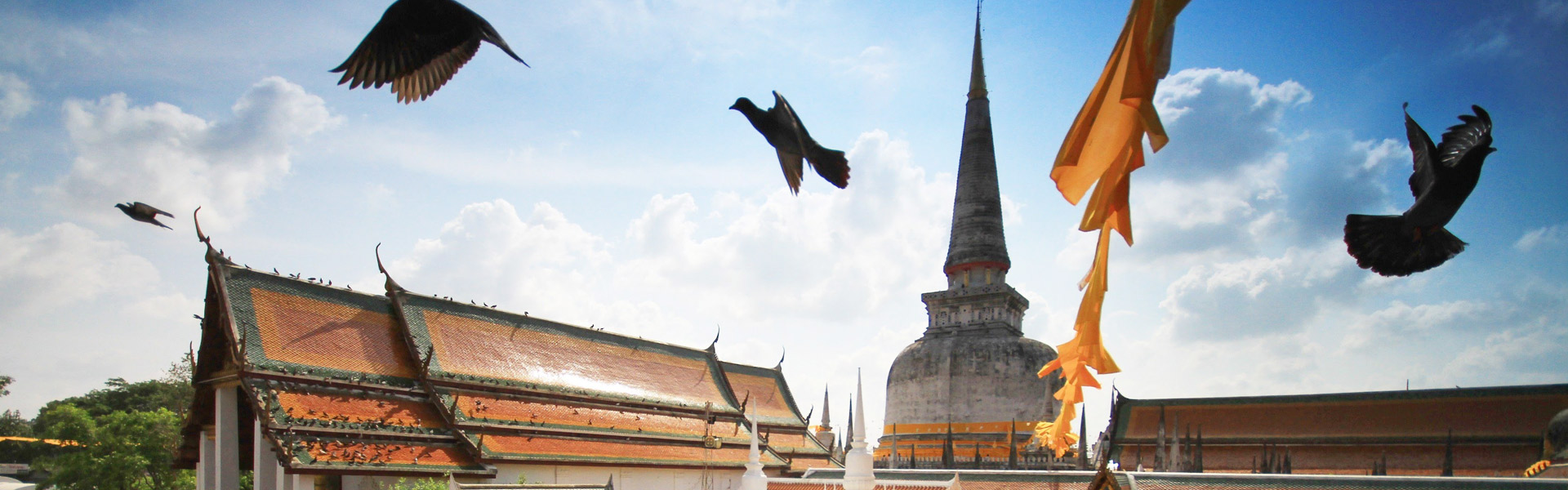 ซ่อมไอโฟน นครศรีธรรมราช ด้วยทีมงานผู้เชี่ยวชาญ ประสบการณ์มากกว่า 10 ปี